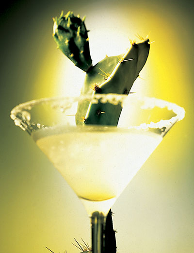 Mojito with cactus – Photograph by George Ong