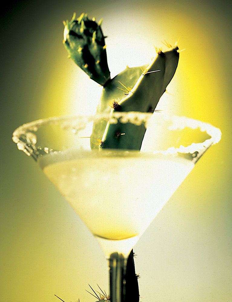Mojito with cactus – Photograph by George Ong