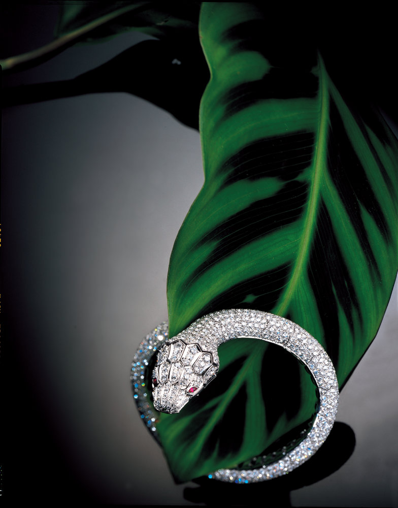 Jewel encrusted snake – Photograph by George Ong